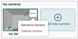 Rename or Delete